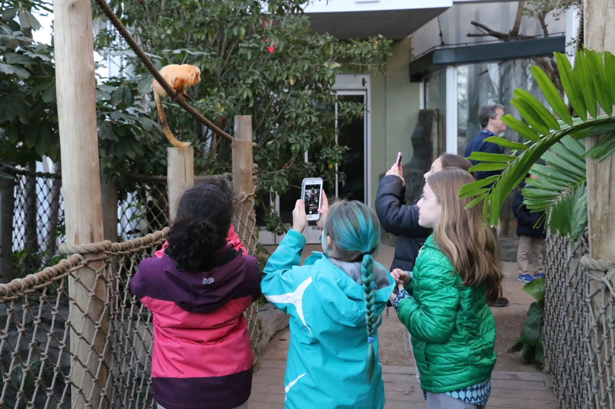 Roger Williams Park Zoo Group Visits photo from the official site