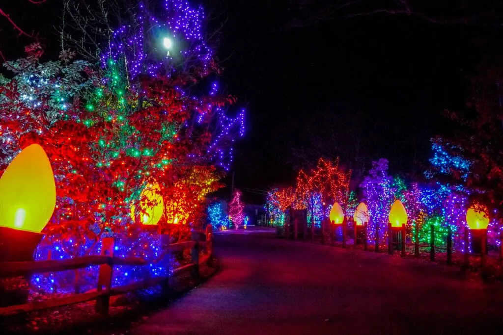 Holiday Lights Spectacular - Roger Williams Park Zoo