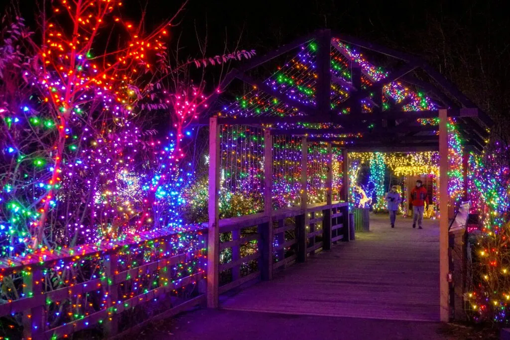 Holiday Lights Spectacular - Roger Williams Park Zoo
