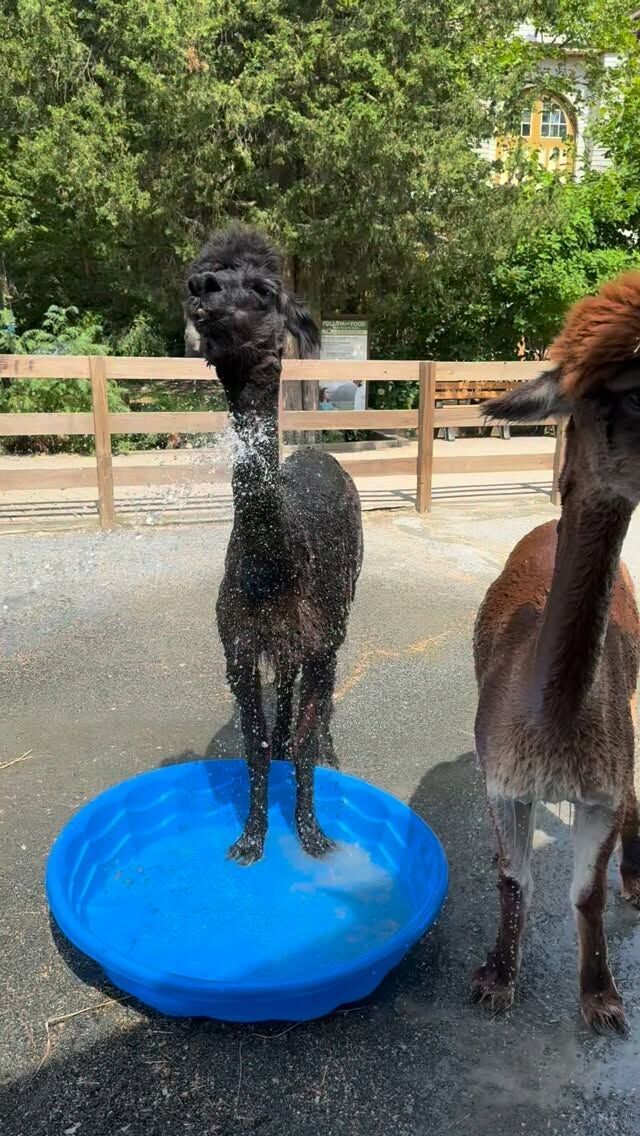Roger Williams Park Zoo