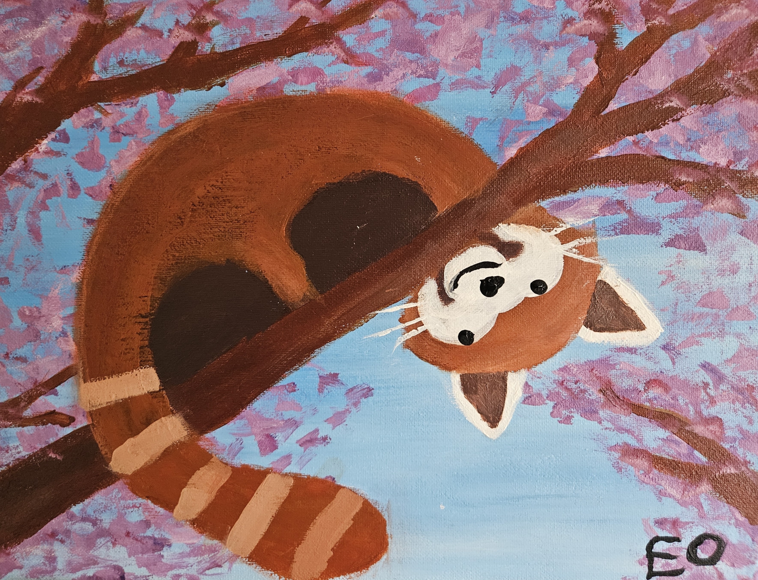 1Place-Eamon-ONeill_Red-Panda-