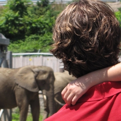 Dad and child looking at elephants