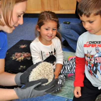 Education animal encounter - Keeper is holding hedgehog while two children observe up-close.