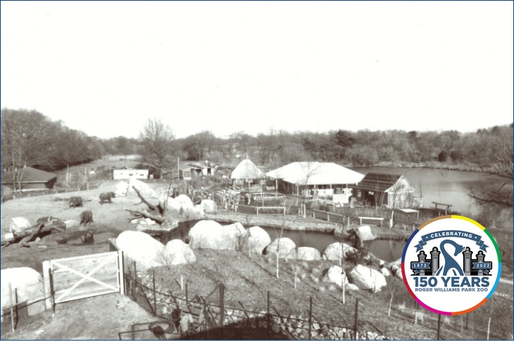 Black and white image from the 1990's - aerial view of the Roger Williams Park Zoo elephant yard area with 150th anniversary logo in bottom right corner.