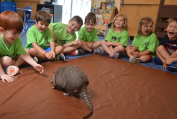 7 Zoocamp tadpole kids interacting with armadillo and smiling.