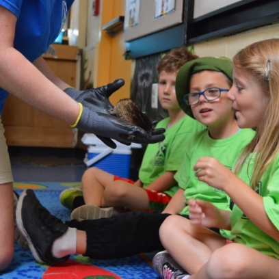 Keeper showing three zoo campers a little animal.