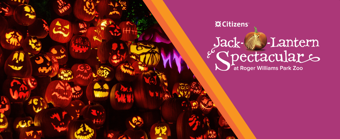 2026 JOLS website header banner v3