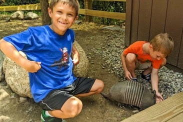 Two young boys interacting with an armadillo during an armadillo encounter.