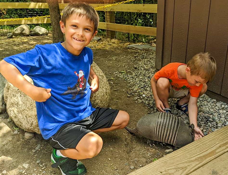 Two young boys interacting with an armadillo during an armadillo encounter.