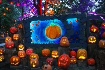 Jack-O-Lantern Spectacular entrance decorated with carved Jack-O-Lanterns all lit up.