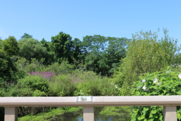 Wetlands Trail at Roger Williams Park Zoo.