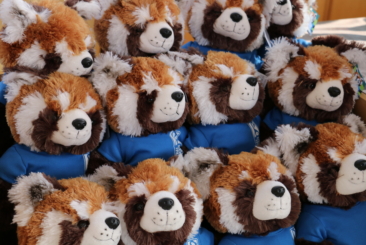 Gift Shop Red panda plush wearing Zoo logo shirt.