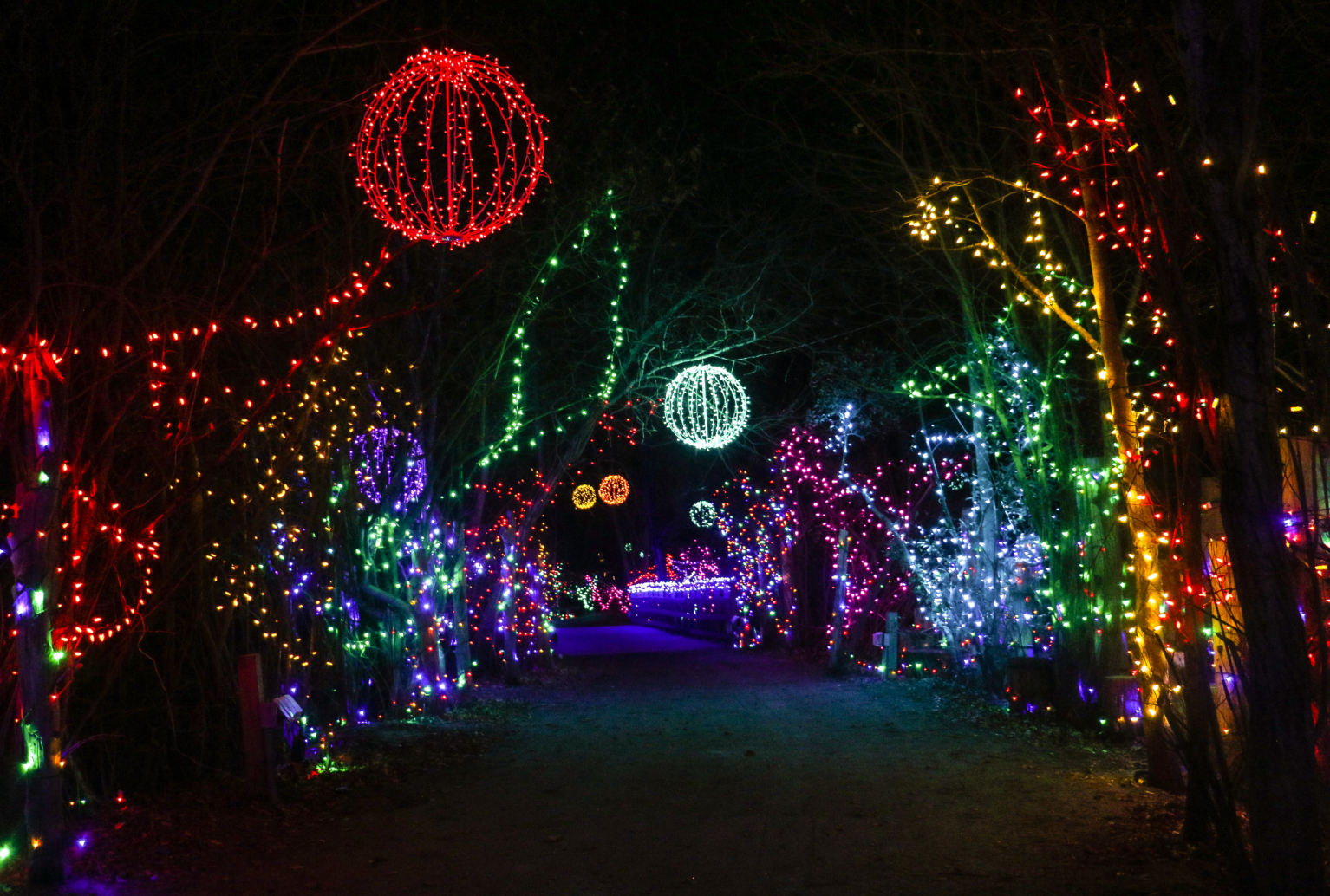 Holiday Lights Spectacular - Roger Williams Park Zoo