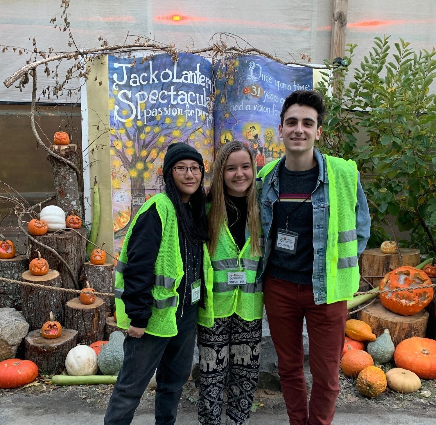 Volunteer For Jack O Lantern Spectacular Roger Williams Park Zoo volunteer-for-jack-o-lantern-spectacular-roger-williams-park-zoo