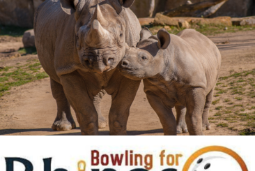 Bowling for Rhinos logo with image of mom and baby rhino.