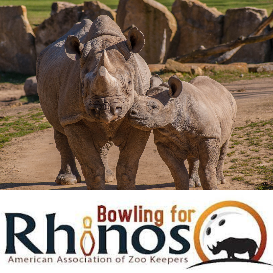 Bowling for Rhinos logo with image of mom and baby rhino.