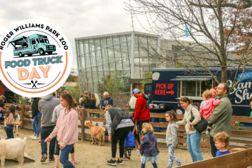 People petting goats at the Zoo, with food trucks in background.