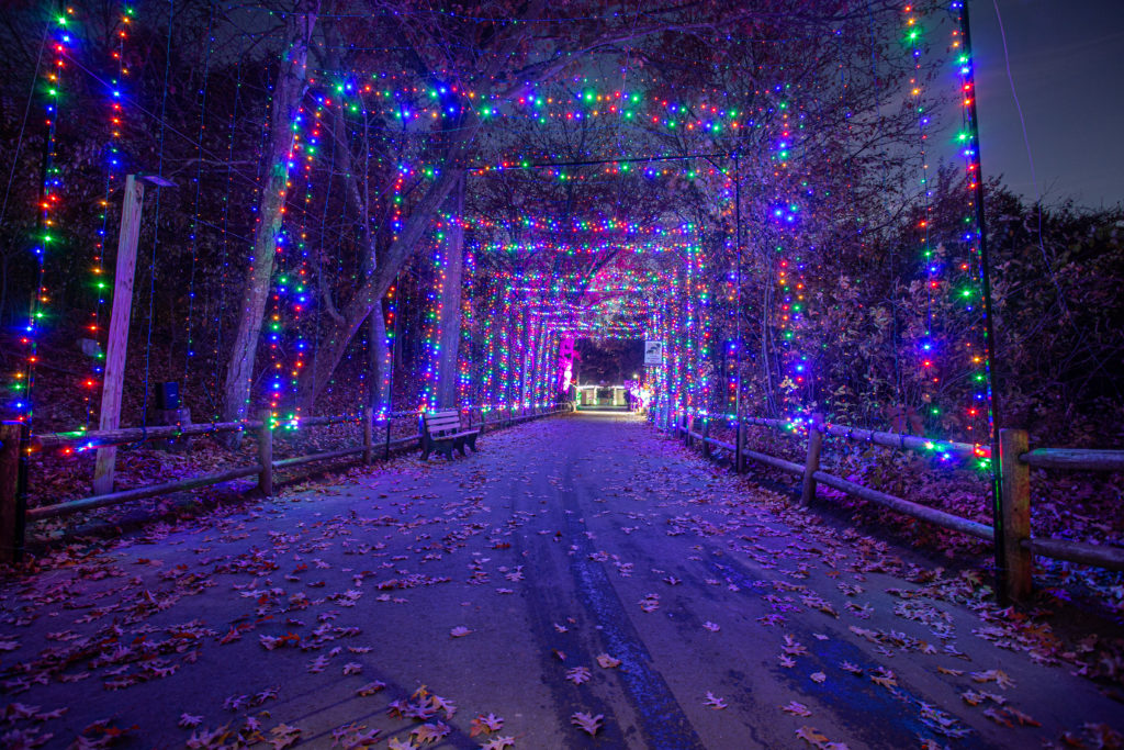 Holiday Lights Spectacular Roger Williams Park Zoo