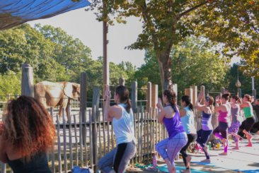 Nine women in a yoga pose in front of Elephant Yard during Yoga with the Elephants.