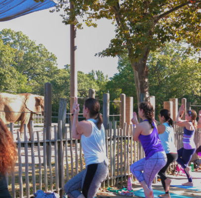 Nine women in a yoga pose in front of Elephant Yard during Yoga with the Elephants.