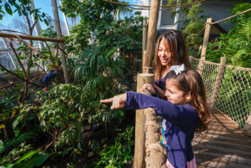 mom and daughter in rainforest exhibit. Both smiling while daughter points at animals. Two hyacinth macaws sitting on a branch in the background.