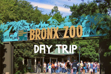 Bronx Zoo Day Trip. Front Entrance of Bronx Zoo with guests waiting in line.