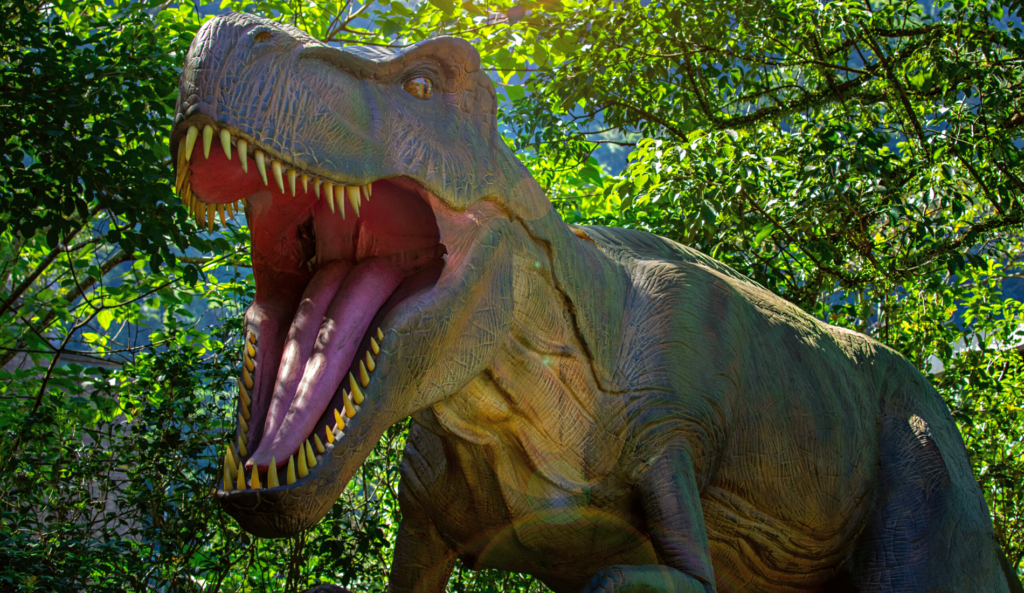 Dino Scavenger Hunt with Roger Williams Park Zoo