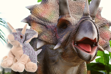 Head of Triceratops dinosaur next to image of plush Triceratops adopt a dinosaur.