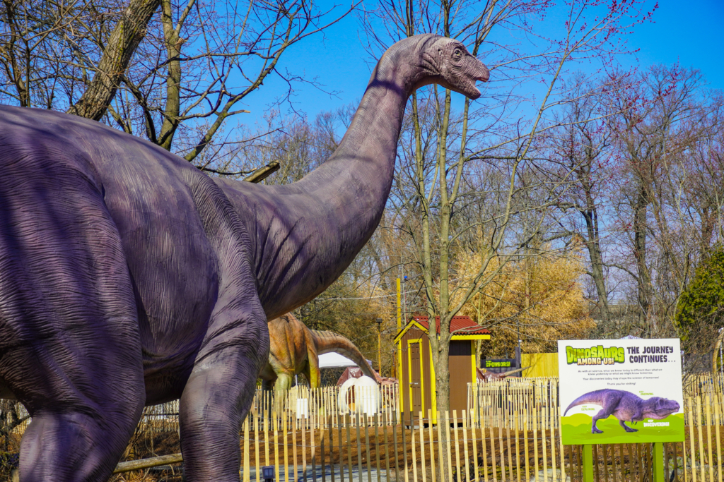 Deinosuchus- Dinosaur Zoo at Wingham Wildlife Park