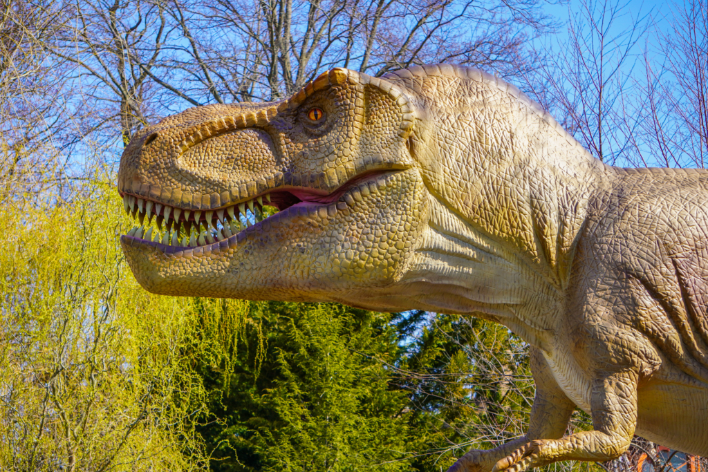 Deinosuchus- Dinosaur Zoo at Wingham Wildlife Park