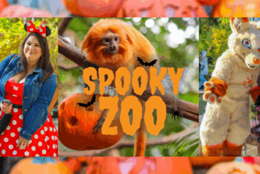 family in halloween costumes, golden lion tamarin with pumpkin, and costumed animal characters