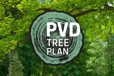 Photo of trees with logo of "PVD Tree Plan"