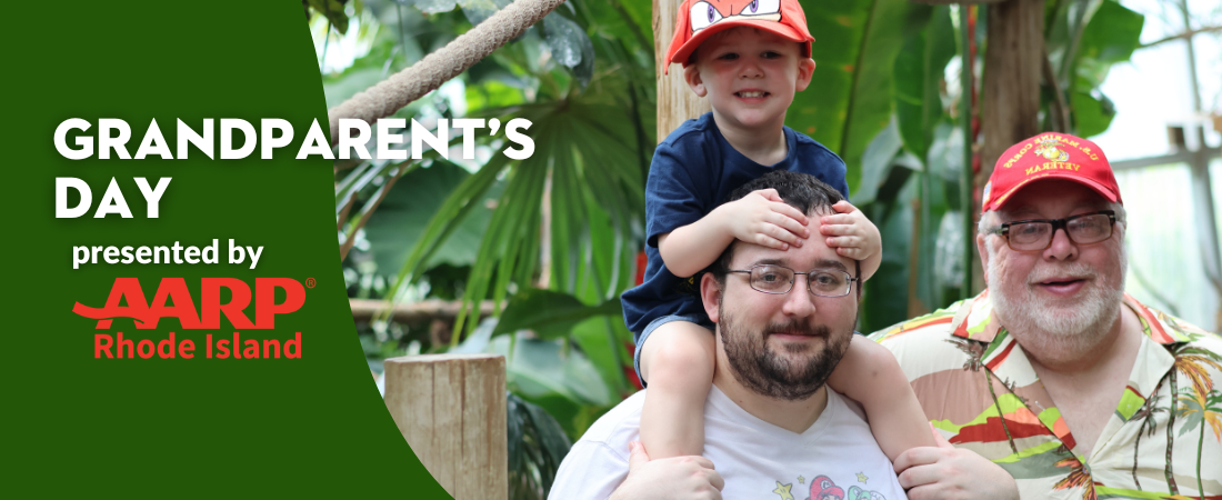 young child with dad and grandfather inside the Zoos faces of the rainforest habitat