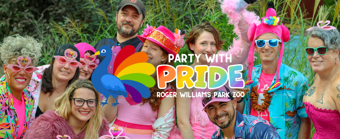 people in fun flamingo outfits and costumes, with Party with Pride logo overlayed