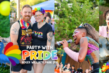 collage of photos from Party with Pride event including performers, guests and animal ambassadors