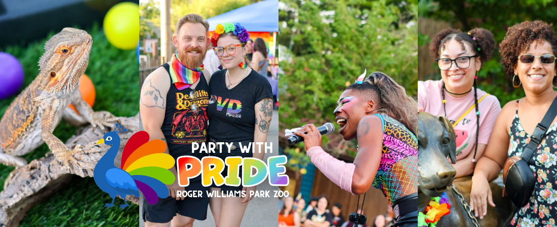 collage of photos from Party with Pride event including performers, guests and animal ambassadors
