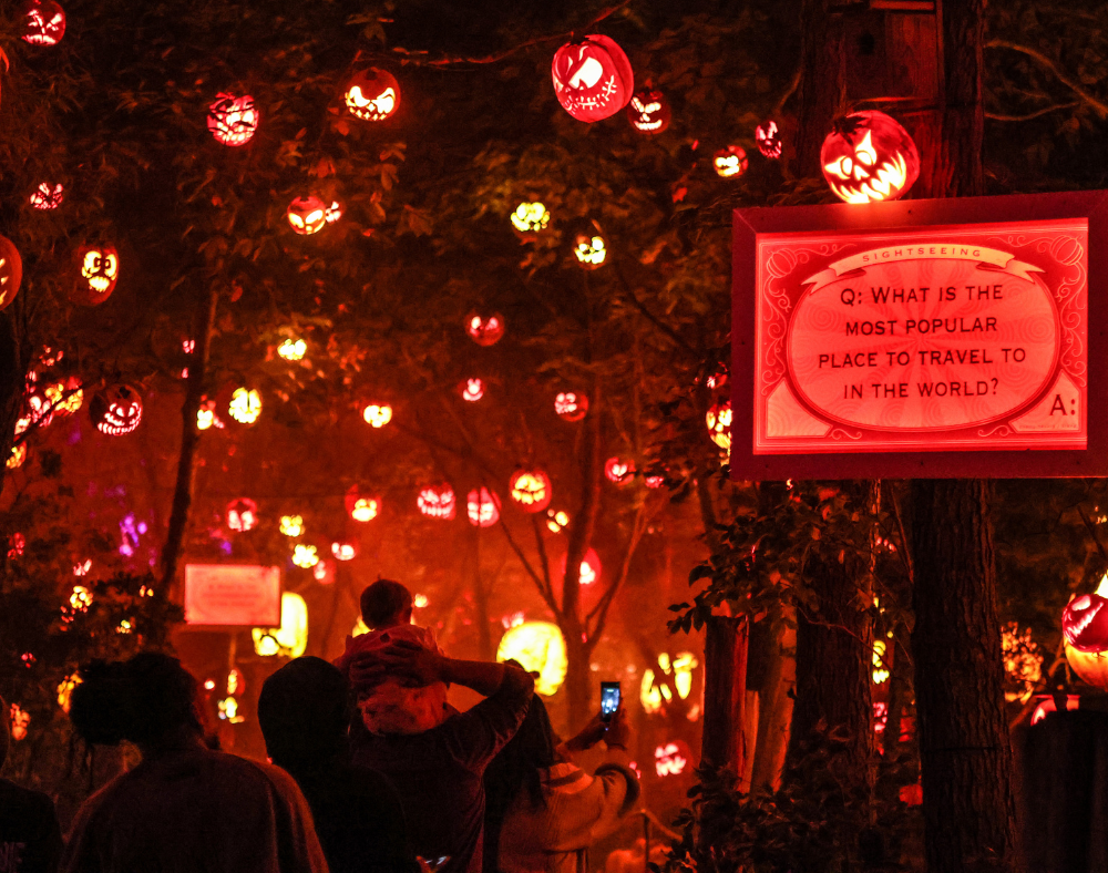 Visitors on the Jack-O-Lantern Spectacular pumpkin trail surrounded by illuminated pumpkins and trivia questions