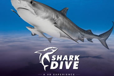 upclose of shark, with Shark Dive VR logo