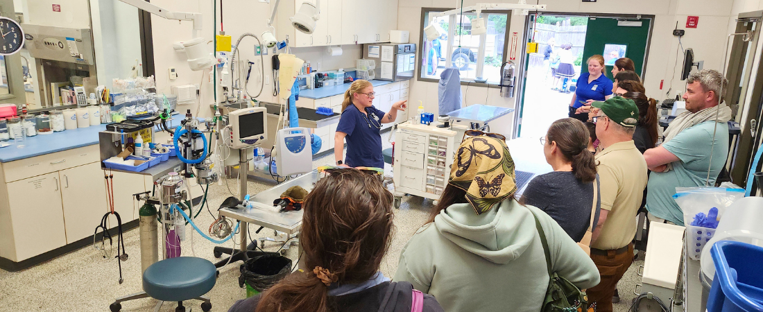 Zoo's veterinary clinic; Lead veterinarian giving a tour of building to the public