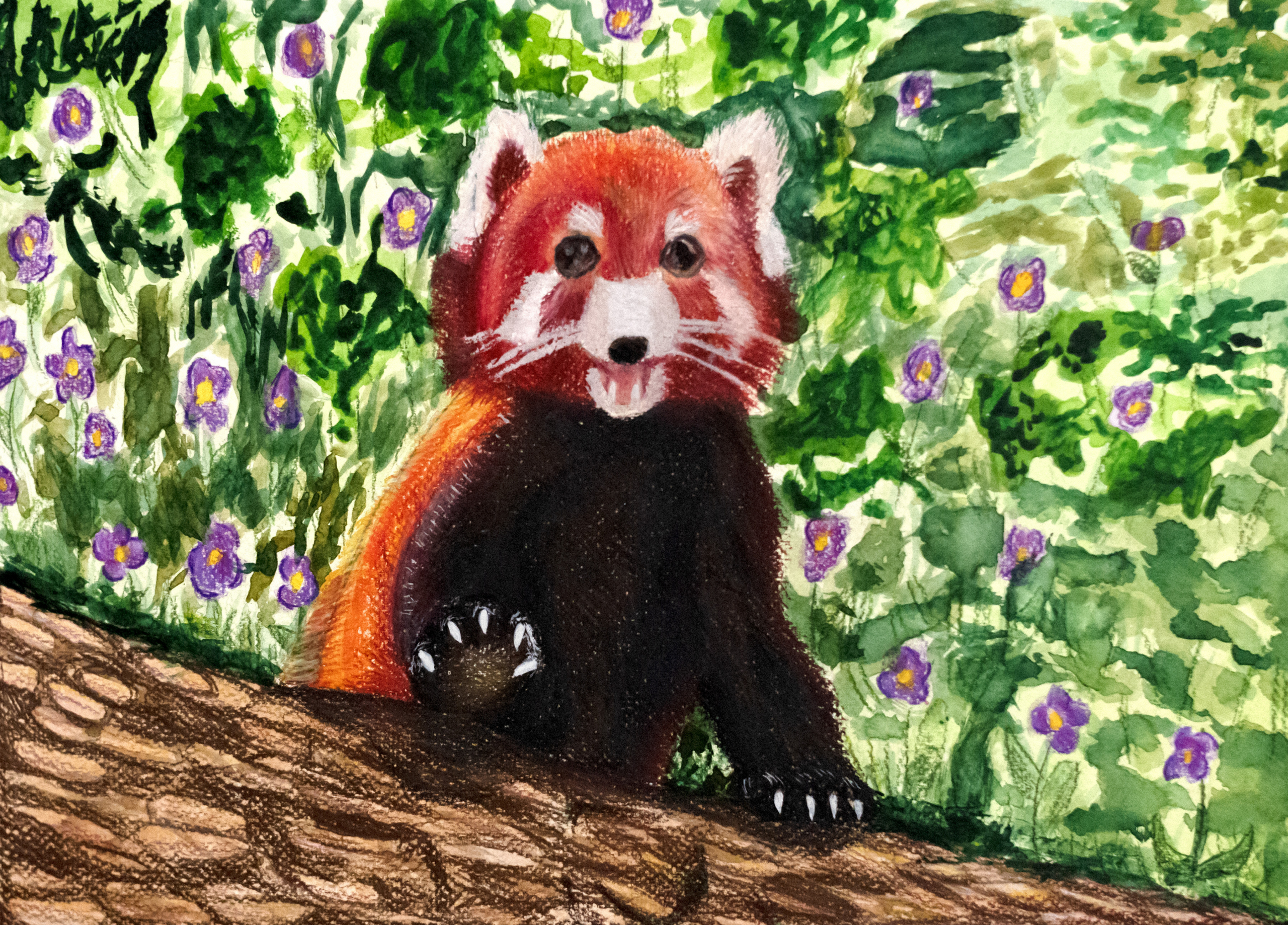 Tiffany-Liang_red panda