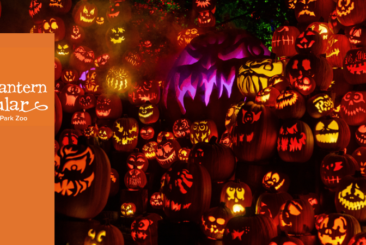 Jack-O-Lantern Spectacular logo overlaying illuminated pumpkin display