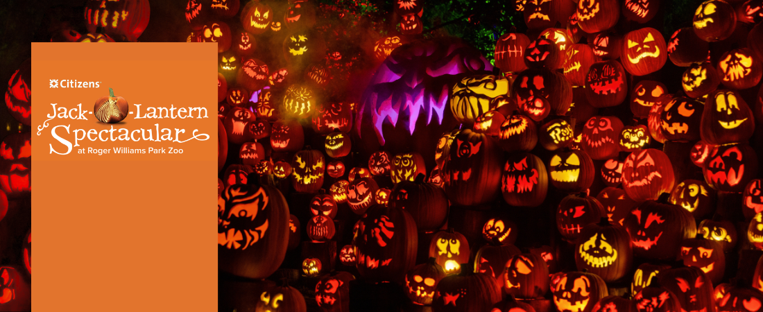 Jack-O-Lantern Spectacular logo overlaying illuminated pumpkin display