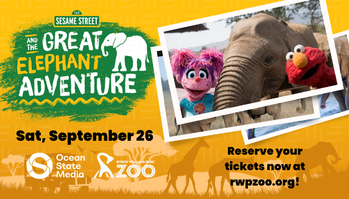 Sesame Street and the Great Elephant Adventure