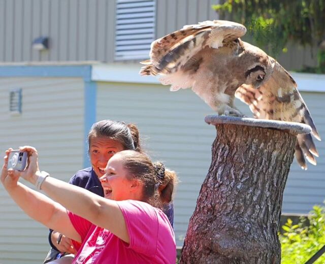 Get closer than you've ever imagined to some of our coolest feathered friends! Have you watched our Interactive Bird Shows? These amazing, free-flying presentations showcase a variety of bird species as they demonstrate their natural abilities. Shows are held daily at 11am and 2pm (weather permitting).
.
.
.
#owl #birds #birdsofig #birdshow #birdsonearth #rhodeisland #Providence #newengland #owlsofinstagram #pvd #rwpzoo