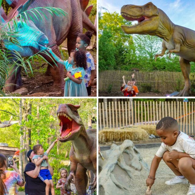 Dino-mite adventures await!🦕🦖 Experience Dinos at Dusk this Saturday, June 10. Explore 60 life-sized animatronic dinosaurs, uncover fossils, and discover interactive dinosaur rides. The entire Zoo will be open to explore and make fun discoveries together during this evening event. Plan your visit  rwpzoo.org/events
.
.
.
#rhodeisland #dinos #dinosaursamongus #familyfun #Providence #dinosaurs #familytrip #kidsactivities #familyfun #pvd #401love #cranston #providenceri #dino #rwpzoo