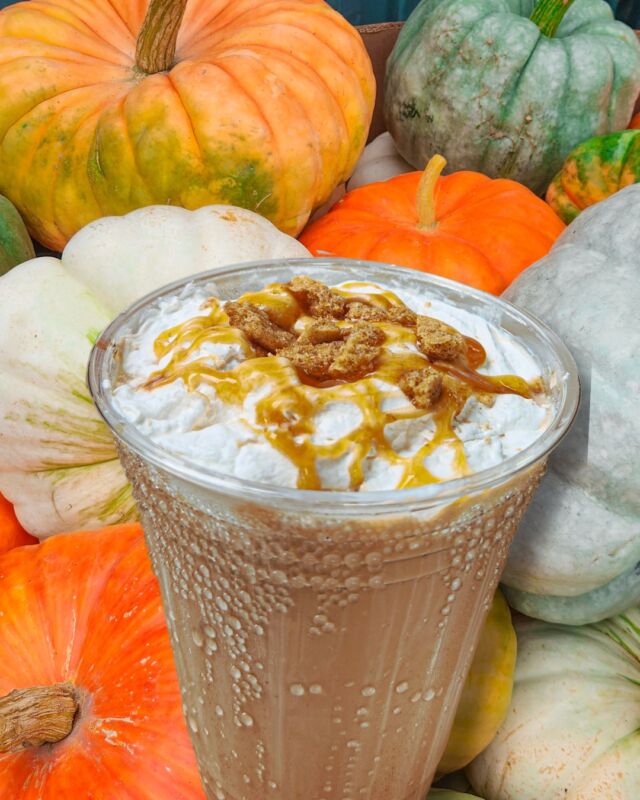 It’s the perfect day to try our new Pumpkin Pie Iced Coffee! ☕️🎃 P.S. It’s made with bird-friendly coffee! Our partners at @fogbustercoffee are certified bird-friendly which means it comes from farms that provide forest-like habitats for birds and other wildlife. They are shade grown, which means the coffee is planted under a canopy of trees rather than land that has been cleared of all other vegetation.

This coffee isn’t just good for the environment, it’s good for you, too! Bird Friendly® coffees are certified organic as they are grown without the use of chemical pesticides.
.
.
.
#birdfriendlycoffee #birdfriendly #pumpkincoffee #pumpkinspice #fallvibes #SAFEsongbirds @safesongbirds #drinkbirdfriendly #pumpkinseason #rwpzoo