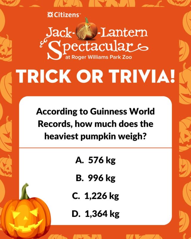 It’s Trick or Trivia Tuesday! Thanks to @citizensbank we’re giving away a 4-pack of tickets to the Jack-O-Lantern Spectacular each week through October 17.

Think you know the answer to today’s question? Like this post and comment the correct answer below for the chance to WIN your 4-pack of tickets! 

⚠ No purchase necessary. This promotion is in no way sponsored, endorsed or administered by, or associated with Instagram. One lucky person with the correct answer will be chosen at random each week on Wednesday afternoon. We will never ask for any personal/financial information or to click external links. Please beware of potential scam.

Feel free to share this post so your friends and family can play! #trickortrivia #jackolanternspectacular #halloweentrivia #pumpkins #fallfun #rwpzoo