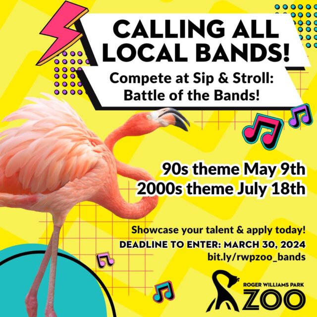Calling all bands (21+) from RI, MA & CT!  RWPZoo is looking for 8 bands to battle it out at this year’s Sip & Stroll: Battle of the Bands. 90s vs 2000s themed nights, compete for a chance to rock the final round at Brew at the Zoo! 

Apply by March 30th, win bragging rights & rock the zoo! Link in bio
.
.
.
#battleofthebands #rhodeisland #massachusetts #connecticut #callforbands #providence #rwpzoo