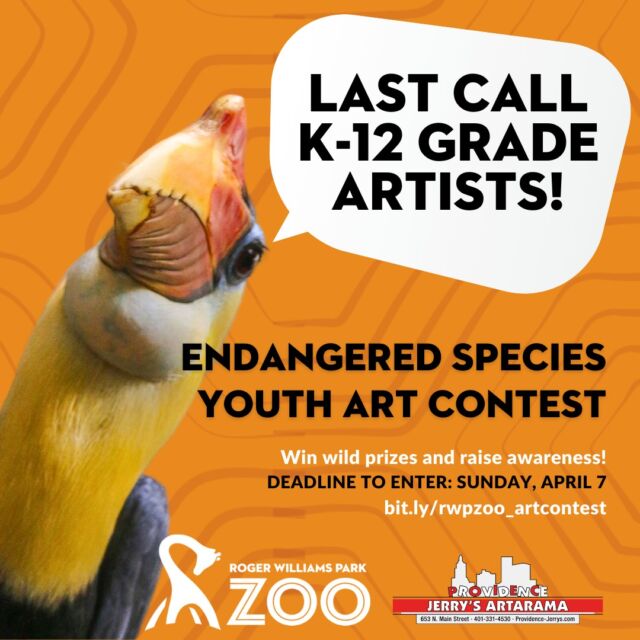 Young artists! The deadline to enter the Zoo's Endangered Species Art Contest is THIS Sunday, April 7th! ⏰ Draw, paint, create - show us why these amazing animal’s matter!  Details & entry: bit.ly/rwpzoo_artcontest
.
.
.
#savingspecies #artcontest #youngartists #art #animalart #endangeredspecies #rhodeisland #rwpzoo