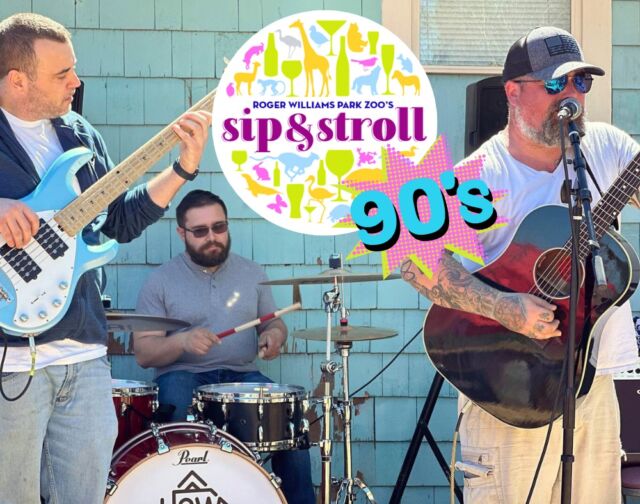 90s vibes + Animals?! Get ready for an epic night at Sip & Stroll: Battle of the Bands 90s Night on Thursday, May 9th.

😎 Live music by @howweburn, @tjandthecampers @smat2smusic and Bumper Sticker!
😎 90s costume contests, animal encounters & cocktails!
😎 Grab your crew (21+) & support the Zoo! Get your tix ➡️ Link in bio 
.
.
.
#90snight #90svibes #letsparty #TBT #ZooLife #animalencounters #battleofthebands #rhodeisland #providence #pvdri #rwpzoo